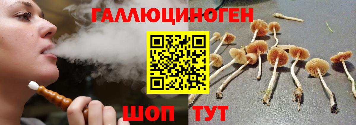 Красногорск  Галлюциногенные грибы MAGIC MUSHROOMS  Псилоцибиновые грибы мицелий  Вход с VPN 
